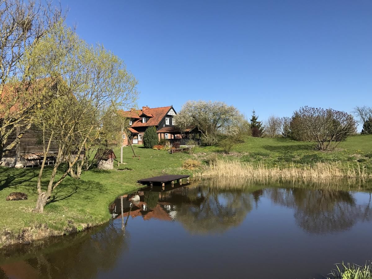 Виллы Andrzejówka Borowe-13