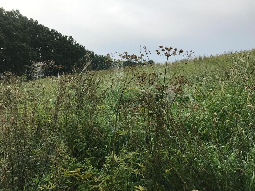 Виллы Andrzejówka Borowe-59