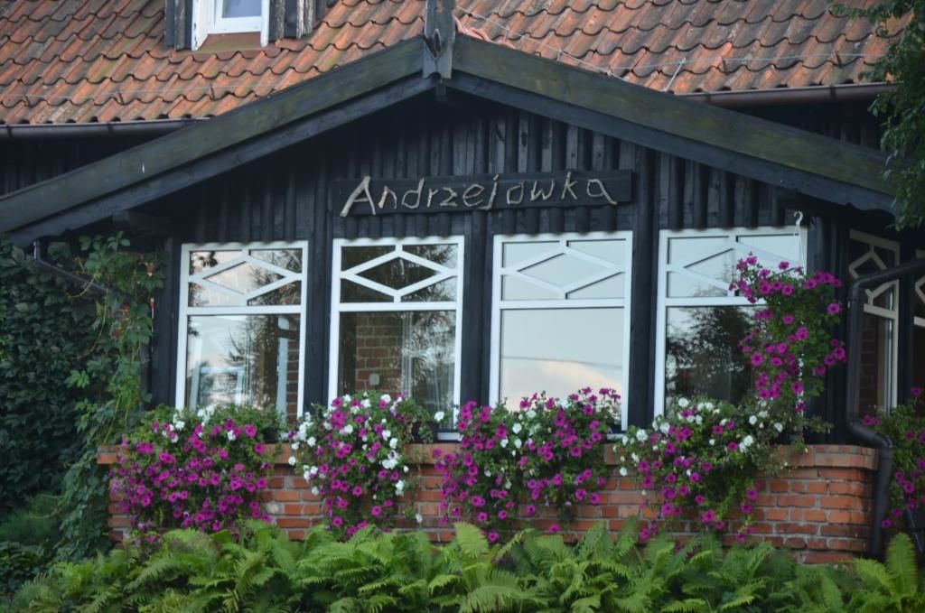 Виллы Andrzejówka Borowe-67