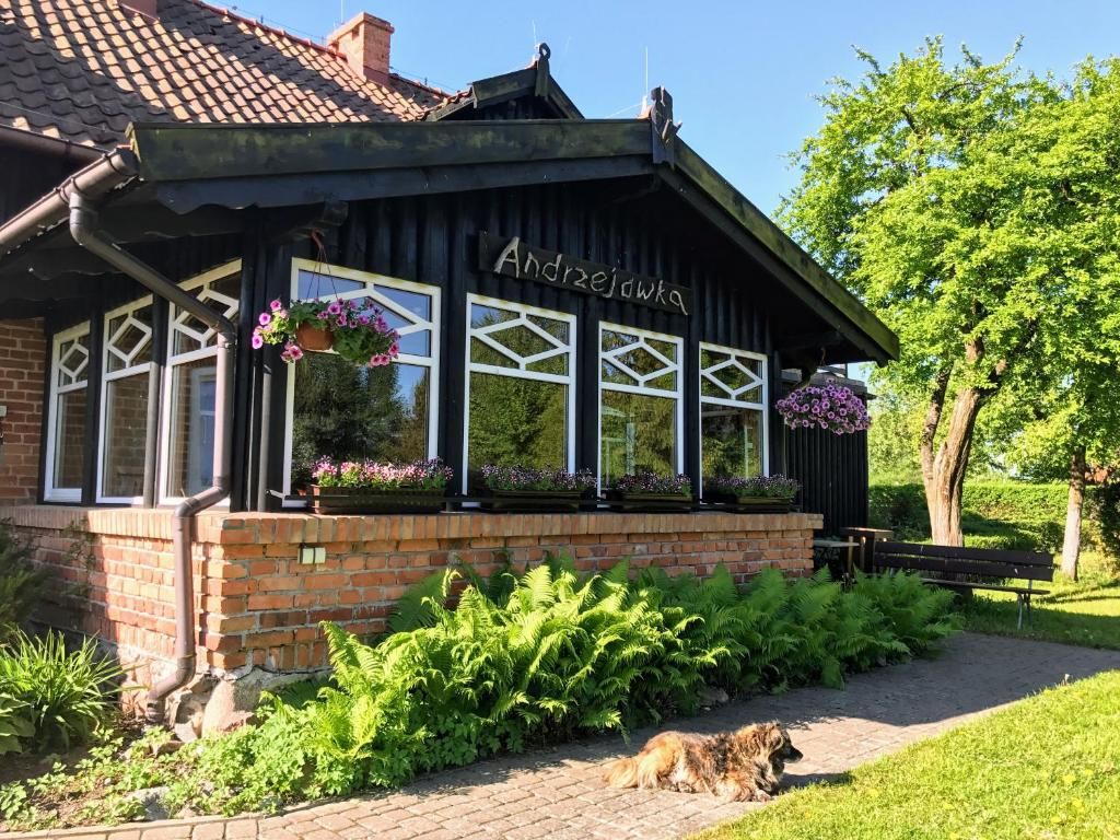 Виллы Andrzejówka Borowe-72