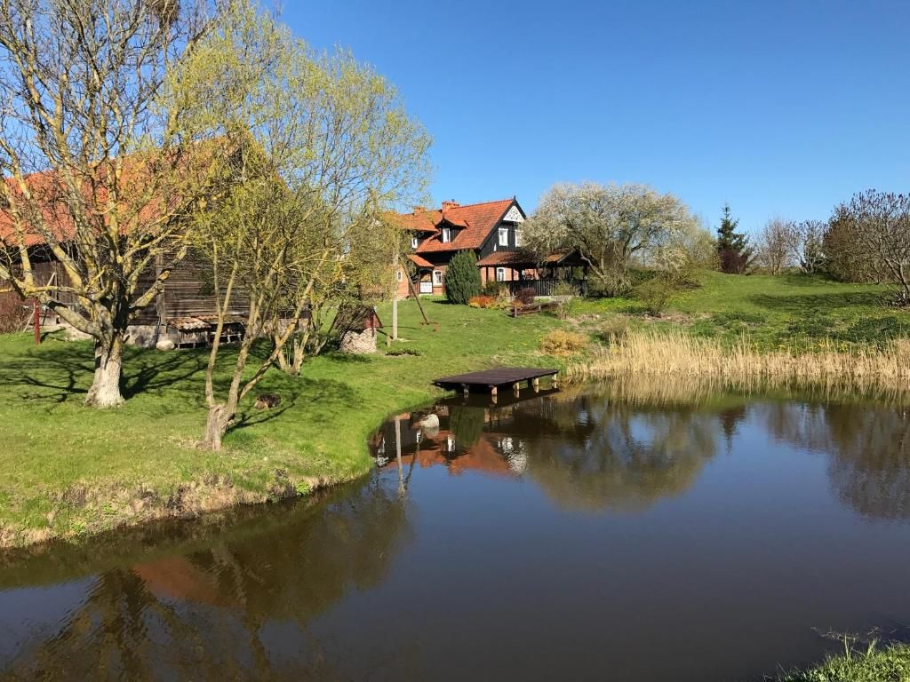 Виллы Andrzejówka Borowe-79