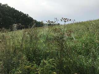 Виллы Andrzejówka Borowe Вилла с видом на сад-40