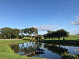 Виллы Andrzejówka Borowe Вилла с видом на сад-46