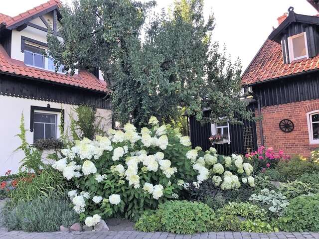 Виллы Andrzejówka Borowe-13