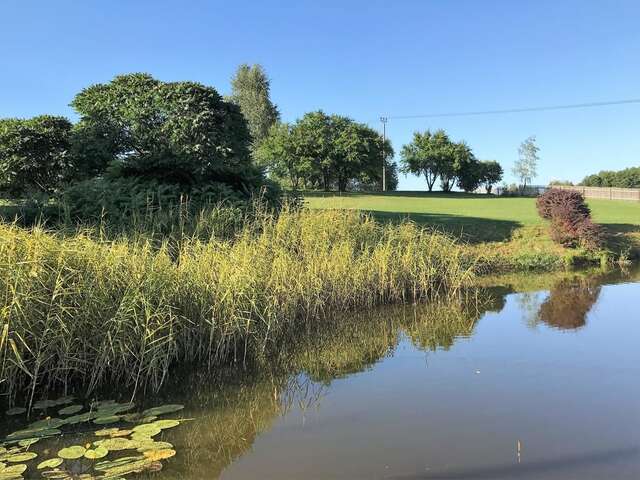 Виллы Andrzejówka Borowe-14