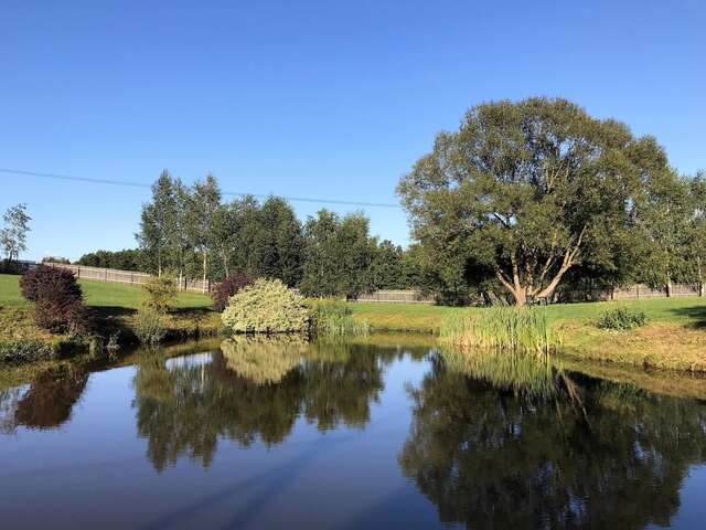 Виллы Andrzejówka Borowe-15