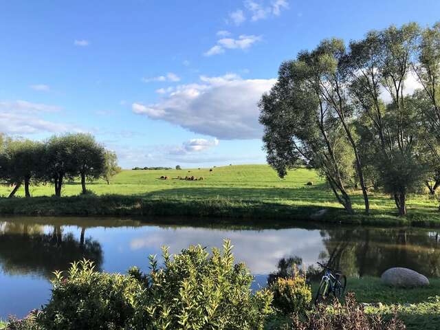 Виллы Andrzejówka Borowe-19