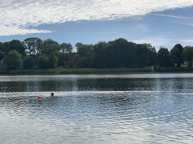 Виллы Andrzejówka Borowe-4