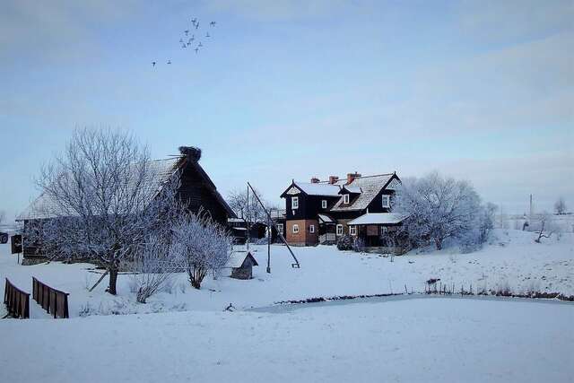 Виллы Andrzejówka Borowe-43