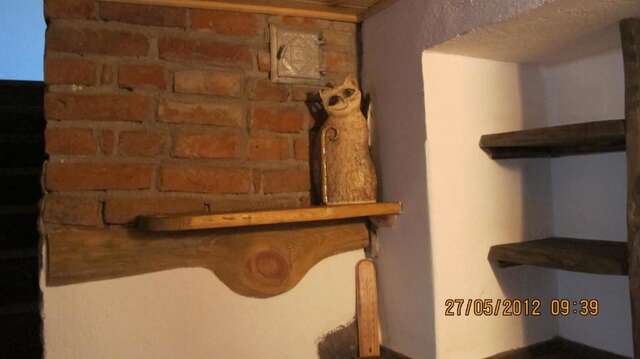 Виллы Andrzejówka Borowe-77